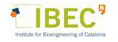 IBEC logo